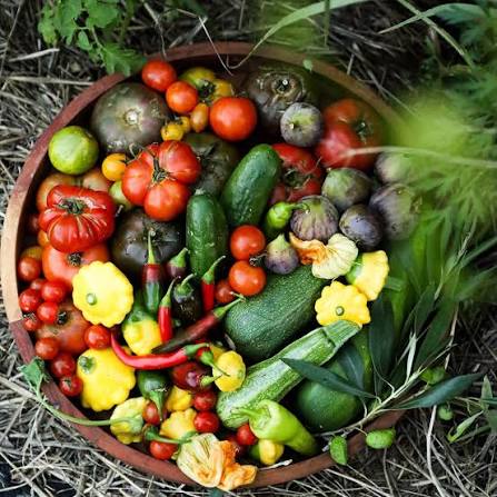 Fresh Organic Summer Produce